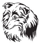 Decorative portrait of Dog Sheltie vector illustration royalty free illustration Decorative portrait of Dog Sheltie vector illustration royalty free illustration