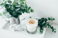Decorazione naturale della casa di eco con le foglie verdi e la candela bruciante sulla t fotografia stock Decorazione naturale della casa di eco con le foglie verdi e la candela bruciante sulla t fotografia stock