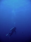 Deep dive scuba diver blue water philippines royalty free stock photos Deep dive scuba diver blue water philippines royalty free stock photos