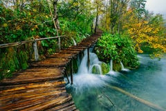 Deep forest stream with crystal clear water with pathway. Plitvice lakes royalty free stock images Deep forest stream with crystal clear water with pathway. Plitvice lakes royalty free stock images