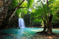 Deep Forest Waterfall Stock Photo Deep Forest Waterfall Stock Photo