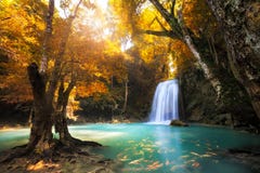 Deep Forest Waterfall Royalty Free Stock Photos Deep Forest Waterfall Royalty Free Stock Photos