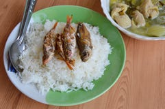 Deep fried fish topping on rice and pickled Chinese cabbage with pork entrails soup Stock Image Deep fried fish topping on rice and pickled Chinese cabbage with pork entrails soup Stock Image