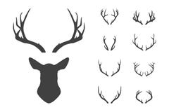 Deer S Head And Antlers Set. Stock Images Deer S Head And Antlers Set. Stock Images