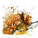 Deer T-shirt graphics, deer illustration with splash watercolor textured background.