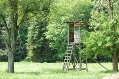 Deerstand обозревая поле в черном лесе стоковое изображение rf Deerstand обозревая поле в черном лесе стоковое изображение rf