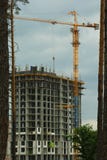 Deforestation problem concept. Multistory house built in woodland Stock Photography Deforestation problem concept. Multistory house built in woodland Stock Photography