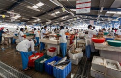 Deira, Dubai, UAE maggio 17,2014 - i pescatori vendono il pesce fresco al fotografia stock Deira, Dubai, UAE maggio 17,2014 - i pescatori vendono il pesce fresco al fotografia stock