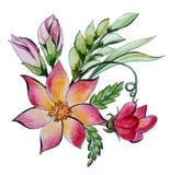 Dekoracyjny akwarela bukiet kwiaty i ziele ilustracji Dekoracyjny akwarela bukiet kwiaty i ziele ilustracji
