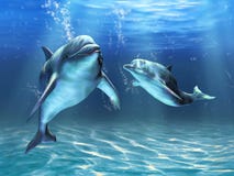 delfiny ilustracji delfiny ilustracji