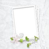 Delicate white frame royalty free stock photo Delicate white frame royalty free stock photo