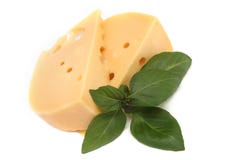 Delicious Cheese With Basil Royalty Free Stock Images