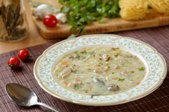 Delicious homemade chicken soup with traditional bulgarian liaison, noodles, parsley, bay leaf and grated carrots. Selective focus stock photo Delicious homemade chicken soup with traditional bulgarian liaison, noodles, parsley, bay leaf and grated carrots. Selective focus stock photo