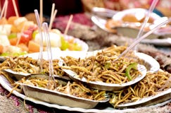 Delicious Indian Chowmin Noodles stock image Delicious Indian Chowmin Noodles stock image