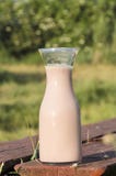 Delicious milkshake with strawberries on the wooden bench against green garden.Vertical shot stock image Delicious milkshake with strawberries on the wooden bench against green garden.Vertical shot stock image