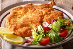 Delicious veal cutlet Milanese with lemon and fresh vegetable sa Stock Photos Delicious veal cutlet Milanese with lemon and fresh vegetable sa Stock Photos