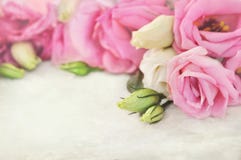 Delikatny eustoma posy, różowy kwitnienie kwitnie bukieta świątecznego tło, pastel i miękką kwiecistą kartę, fotografia stock Delikatny eustoma posy, różowy kwitnienie kwitnie bukieta świątecznego tło, pastel i miękką kwiecistą kartę, fotografia stock
