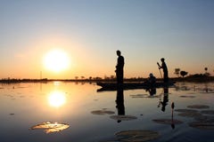 Delta d'Okavango photos stock Delta d'Okavango photos stock