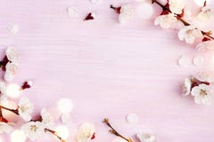Den blommande våren blommar på rosa träbakgrund med kopieringsutrymme arkivfoton Den blommande våren blommar på rosa träbakgrund med kopieringsutrymme arkivfoton