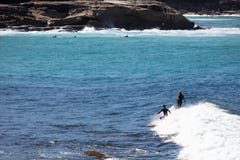 Den Bronte stranden, som är, lokaliseras 7 kilometer öst av Sydnen royaltyfri fotografi Den Bronte stranden, som är, lokaliseras 7 kilometer öst av Sydnen royaltyfri fotografi