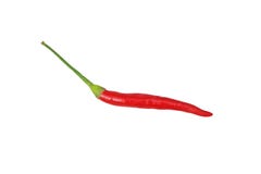 Den bästa sikten matade länge peppar royaltyfri fotografi Den bästa sikten matade länge peppar royaltyfri fotografi