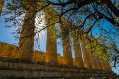 Den doriska kolonnaden av fördärvar gammalgrekiskatemplet av Juno, gammal arkitektur Agrigento, Sicilien, Italien fotografering för bildbyråer Den doriska kolonnaden av fördärvar gammalgrekiskatemplet av Juno, gammal arkitektur Agrigento, Sicilien, Italien fotografering för bildbyråer