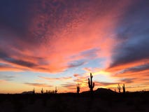 Den Dreamtime Cloudscape saguaroen står vakt Arizona Skyscape amerikansydväster Arkivfoto Den Dreamtime Cloudscape saguaroen står vakt Arizona Skyscape amerikansydväster Arkivfoto