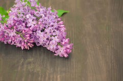 Den färgrika lilan blommar på träbakgrund royaltyfri foto Den färgrika lilan blommar på träbakgrund royaltyfri foto