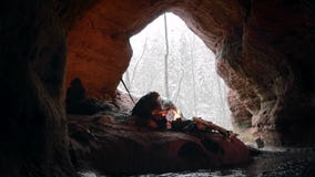 Den förhistoriska grottmänniskan trycker på insnöade tider av stenåldern på bakgrund av vinterskogen lager videofilmer Den förhistoriska grottmänniskan trycker på insnöade tider av stenåldern på bakgrund av vinterskogen lager videofilmer
