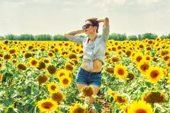 Den gladlynta kvinnan på en sommar går i fältet med solrosor arkivbilder Den gladlynta kvinnan på en sommar går i fältet med solrosor arkivbilder