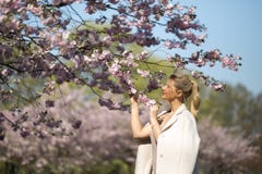 Den h?rliga blonda unga kvinnan i Sakura Cherry Blossom parkerar i v?r som tycker om naturen och fri tid under hennes resande arkivbild Den h?rliga blonda unga kvinnan i Sakura Cherry Blossom parkerar i v?r som tycker om naturen och fri tid under hennes resande arkivbild