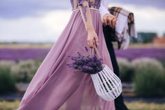 Den h?rliga kvinnan rymmer buketten av blommalavendel i korg, medan att g? som ?r utomhus- till och med vetef?lt i sommar arkivfoto Den h?rliga kvinnan rymmer buketten av blommalavendel i korg, medan att g? som ?r utomhus- till och med vetef?lt i sommar arkivfoto