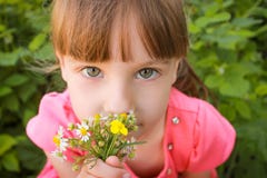 Den härliga flickan luktar blommorna arkivbilder Den härliga flickan luktar blommorna arkivbilder