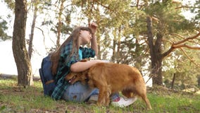 Den härliga flickan reser med husdjuret turist- flicka i skog på stopp med en hund husmor spelar med att jaga hund husmor arkivfilmer Den härliga flickan reser med husdjuret turist- flicka i skog på stopp med en hund husmor spelar med att jaga hund husmor arkivfilmer
