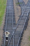Den järnväg linjen som köpte miljoner av fångar till den Auschwitz-Birkenau koncentrationsläger nära Oswiecim i Polen royaltyfria bilder Den järnväg linjen som köpte miljoner av fångar till den Auschwitz-Birkenau koncentrationsläger nära Oswiecim i Polen royaltyfria bilder
