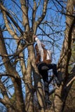 Den nedersta sikten som charmar den gulliga slanka flickan, är överst av ovanligt träd utan sidor på bakgrundshimmel fotografering för bildbyråer Den nedersta sikten som charmar den gulliga slanka flickan, är överst av ovanligt träd utan sidor på bakgrundshimmel fotografering för bildbyråer