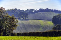 Den nya vintern kantjusterar visning i jordbruksmark nära Crowhurst, östliga Sussex, England arkivbild Den nya vintern kantjusterar visning i jordbruksmark nära Crowhurst, östliga Sussex, England arkivbild