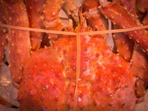 Den orange jätte- krabban bands Fotografering för Bildbyråer Den orange jätte- krabban bands Fotografering för Bildbyråer
