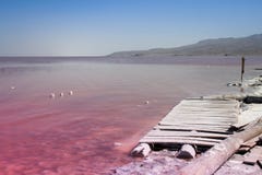 Den ovanliga rosa sjön Urmia som är full av, saltar royaltyfria bilder Den ovanliga rosa sjön Urmia som är full av, saltar royaltyfria bilder