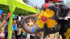 Den Songkran festivalen firas med elefanter i Ayutthaya royaltyfri foto Den Songkran festivalen firas med elefanter i Ayutthaya royaltyfri foto
