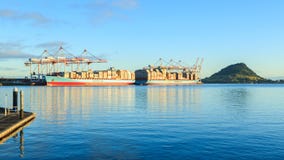 Den upptagna porten av Tauranga, Nya Zeeland arkivbild Den upptagna porten av Tauranga, Nya Zeeland arkivbild