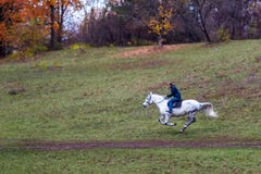 Den vita hästen som kör i skogwhithmannen på tillbaka Betuful outumnlandskap Uman Ukraina Den mest härliga plasen in royaltyfria foton Den vita hästen som kör i skogwhithmannen på tillbaka Betuful outumnlandskap Uman Ukraina Den mest härliga plasen in royaltyfria foton