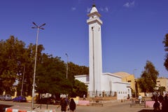 Den äldsta krokodilen i Aswan royaltyfria foton Den äldsta krokodilen i Aswan royaltyfria foton