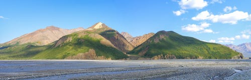 Denali National Park - Alaska. View of a mountain range in Denali National Park, Alaska on a bright summer day royalty free stock image Denali National Park - Alaska. View of a mountain range in Denali National Park, Alaska on a bright summer day royalty free stock image