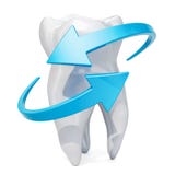 Dent avec les flèches bleues Concept de protection de dents, rendu 3D illustration libre de droits Dent avec les flèches bleues Concept de protection de dents, rendu 3D illustration libre de droits