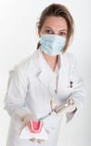 Dental procedure royalty free stock photography Dental procedure royalty free stock photography