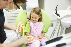 Dentist brushing a dental model royalty free stock images Dentist brushing a dental model royalty free stock images