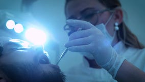 Dentista en el trabajo en la oficina Un doctor de sexo femenino examina los dientes y los mandíbulas de un paciente masculino metrajes Dentista en el trabajo en la oficina Un doctor de sexo femenino examina los dientes y los mandíbulas de un paciente masculino metrajes