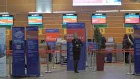 Dentro la vista del terminale D all'aeroporto di Sheremetyevo, Mosca stock footage Dentro la vista del terminale D all'aeroporto di Sheremetyevo, Mosca stock footage