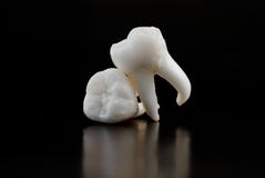 Dents de sagesse humaines photographie stock Dents de sagesse humaines photographie stock